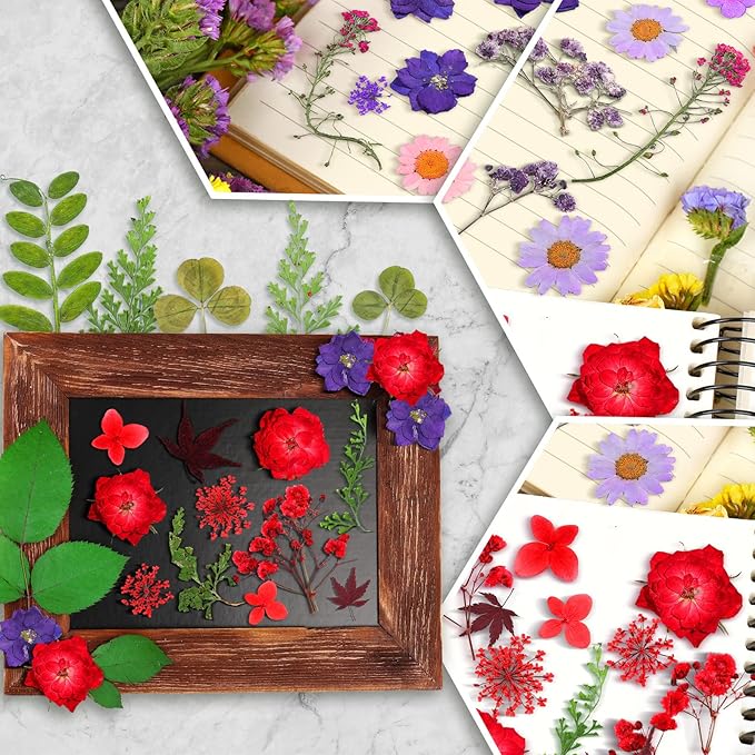 Nuanchu Pressed Flowers Bulk Dried Flower for Crafts, Dried Wildflowers Leave Natural with Tweezer for Resin Mold Scrapbooking Nail Soap Making DIY(Gentle Style,Lively Color)