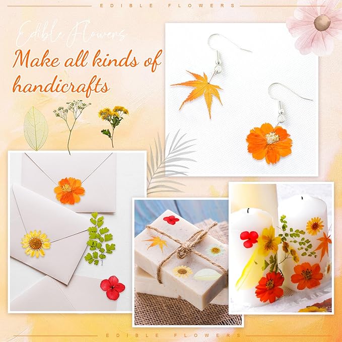 96 Pcs Fall Natural Dried Pressed Flowers for Cake Topper Decorating Cupcake Toppers Cocktails Resin Jewelry Making DIY Art Crafts