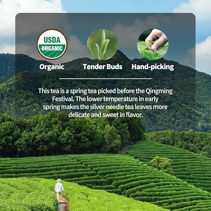 KHS Organic Silver Needle White Tea Grade AAA, 2.47 OZ USDA Certified Chinese Yunnan White Tea Loose Leaf, No Dust Production Workshop, Natural Organic Planting Loose Leaf Tea Perfect for Hot Brew