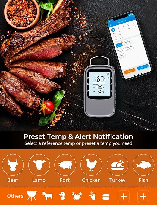 Govee Bluetooth Meat Thermometer, Wireless Meat Thermometer for Smoker Oven, Digital Grill Thermometer with 2 Probes, Timer Mode, Smart LCD Backlight BBQ Thermometer for Cooking Turkey Fish Beef