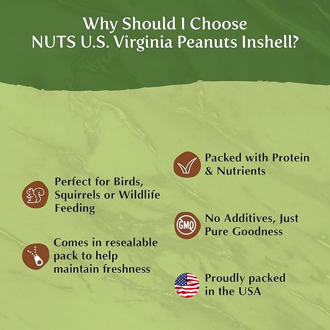 NUTS U.S. - Peanuts In Shell | USA Grown, Non-GMO Raw for Birds, Squirrels & Wildlife | Human Consumption After Roasting or Boiling | Whole In Shell Unsalted Peanuts - 5 LBS