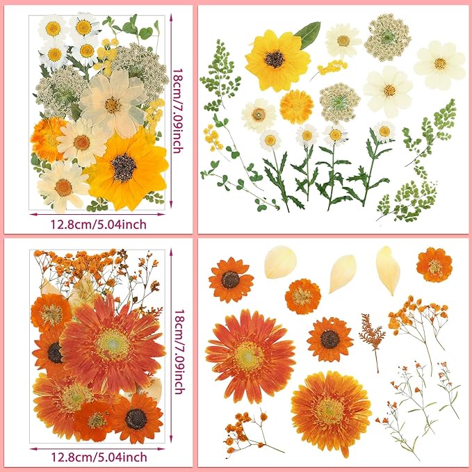 Nuanchu Pressed Flowers Bulk Dried Flower for Crafts, Dried Wildflowers Leave Natural with Tweezer for Resin Mold Scrapbooking Nail Soap Making DIY(Rustic Style,Mixed Color)