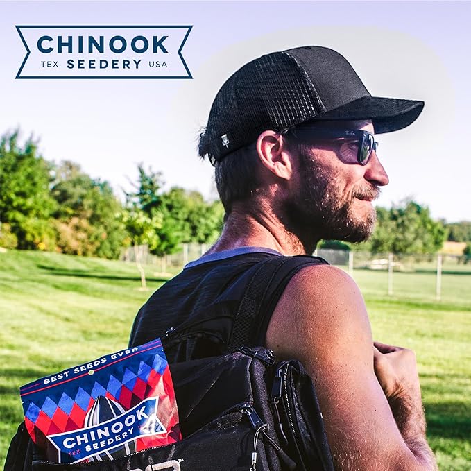 Chinook Seedery Roasted Sunflower Seeds to Eat -1.5 oz (Pack of 36) Parmesan & Pepper - Jumbo Low Sodium Sunflower Seeds Keto Snacks - Adventure, Baseball, School Snacks - Gluten Free, Non GMO Snacks