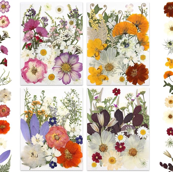 120P 4-Color Mixed Foliage Dried Flowers for Crafts, Real Natural Pressed Flowers for Resin Art, DIY Crafts, Jewelry & Candle Making – Tweezers Included