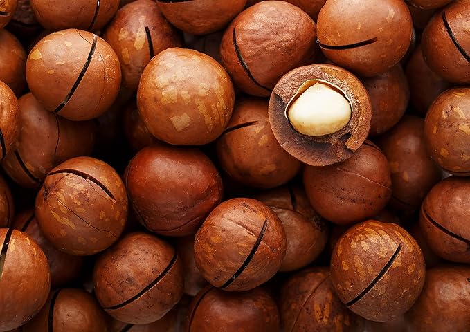 Food to Live Organic Dry Roasted Whole Macadamia Nuts with Himalayan Salt, 8 Pounds – Delicious and Nutritious Snack Made from Premium Non-GMO Nuts