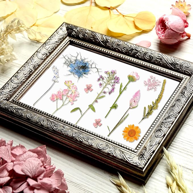 Nuanchu Pressed Flowers Bulk Dried Flower for Crafts, Dried Wildflowers Leave Natural with Tweezer for Resin Mold Scrapbooking Nail Soap Making DIY(Trendy Style,Blend Color)