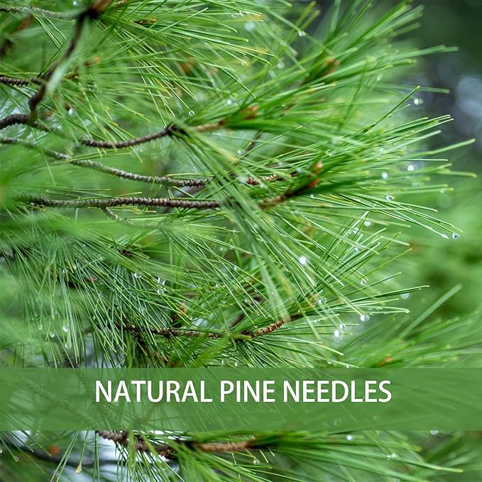 Pine Needle Tea Bags 3g X 50 Bags 5.3 oz Natural Wild & Pure Pine Needle Herbal Tea, Gluten Free,Caffeine Free, Non-GMO