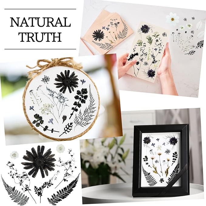 Nuanchu Pressed Flowers Bulk Dried Flower for Crafts, Dried Wildflowers Leave Natural with Tweezer for Resin Mold Scrapbooking Nail Soap Making DIY(Simple Style,Dark Color)