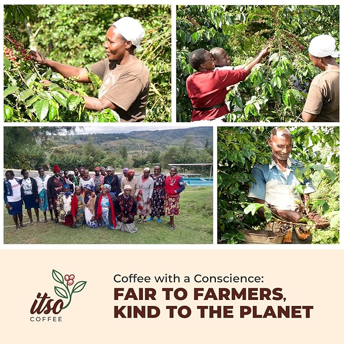 Medium Roast Whole Bean Coffee ??Smooth & Balanced Arabica for Espresso, Cold Brew & Pour Over ??Fresh Roasted Specialty Kenyan AA Beans ??250g Bag