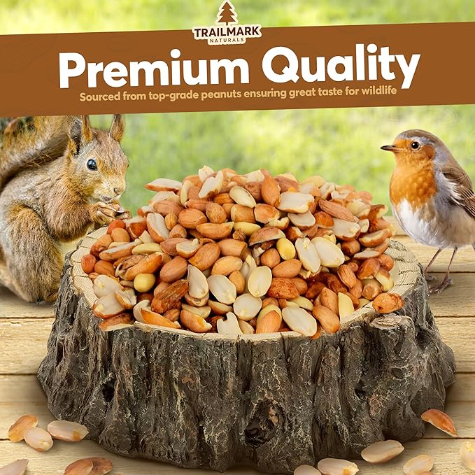 10 LB - Raw Shelled Peanuts For Squirrels, Out of Shell Peanuts For Birds and Wildlife- Squirrel Food, Wild Bird Seed -Grown in The USA