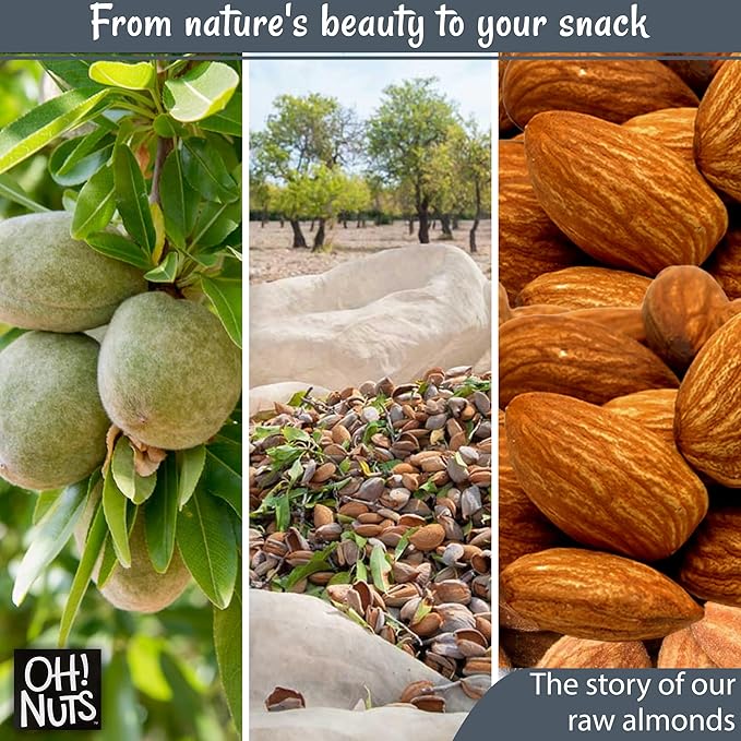 Oh! Nuts Almonds - Raw - 100% Natural - 2 lb - High-Protein Whole Almonds - Packed in New York Zip-Seal Bag for Exceptional Freshness