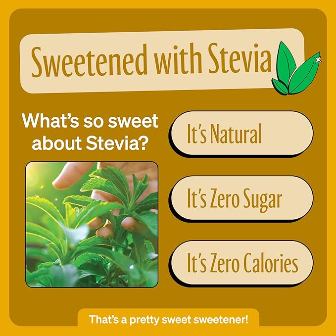 Zevia Zero Sugar Soda, Cream Soda, 12 oz Cans (8-Pack) ??Naturally Sweetened, Non-GMO Project Verified, Gluten-Free, Vegan
