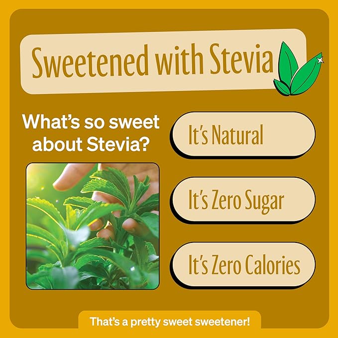 Zevia Zero Sugar Soda, Cream Soda, 16 oz Cans (12-Pack) ??Naturally Sweetened, Non-GMO Project Verified, Gluten-Free, Vegan