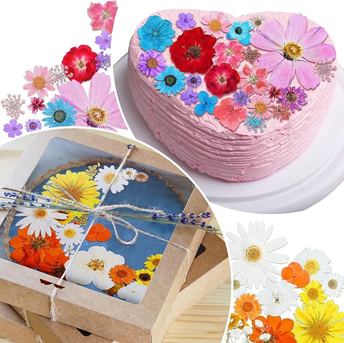 Nuanchu Pressed Flowers Bulk Dried Flower for Crafts, Dried Wildflowers Leave Natural with Tweezer for Resin Mold Scrapbooking Nail Soap Making DIY(Artsy??Style,Diverse Color)