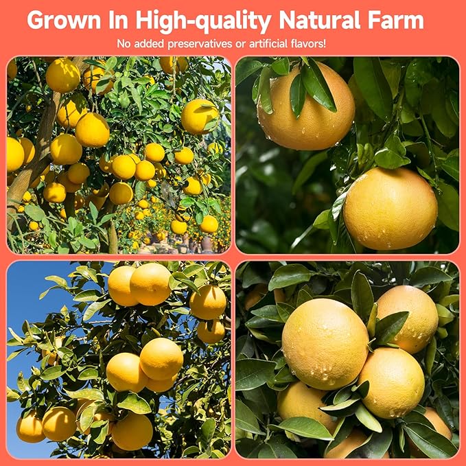 Dried Grapefruit Slices, 3oz/85g,Dehydrated fruit for Cocktails garnish, 100% Natural Fruit No Additives No Sugar Added,For Crafts, Cake Decoration,Garland, Baking