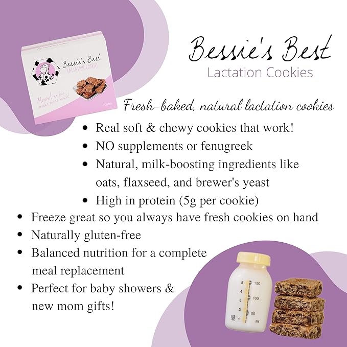 Bessie?셲 Best Lactation Cookies | Dairy Free Lactation Cookies | Oatmeal Peanut Butter Chocolate Chip | Increase Milk Supply | Breastmilk Boosting Cookies | Breastfeeding Snacks | 3 Dozen