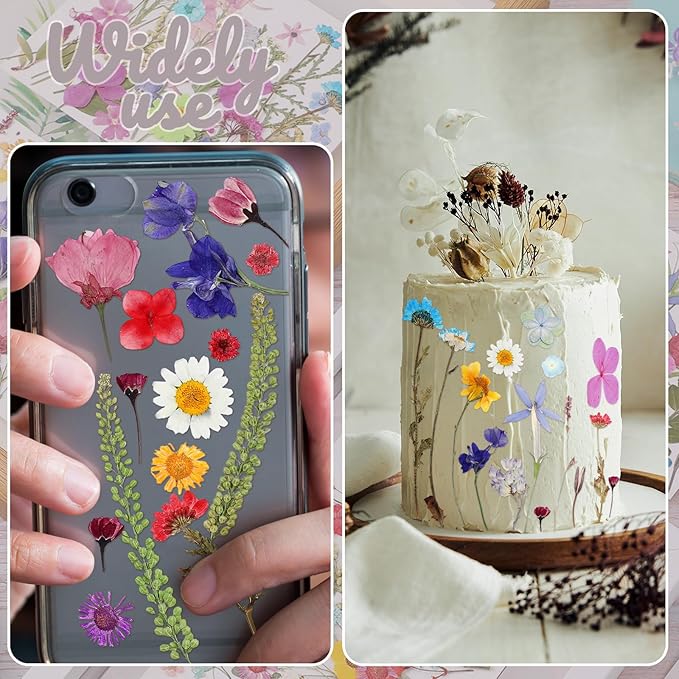 Nuanchu Pressed Flowers Bulk Dried Flower for Crafts, Dried Wildflowers Leave Natural with Tweezer for Resin Mold Scrapbooking Nail Soap Making DIY(Mini Style,Vibrant Color)