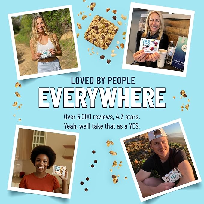 The YES Bar ??Dark Chocolate Chip ??Plant Based Protein, Decadent Snack Bar ??Vegan, Paleo, Gluten Free, Dairy Free, Low Sugar, Healthy Snack, Breakfast, Low Carb, Keto Friendly (Pack of 6)