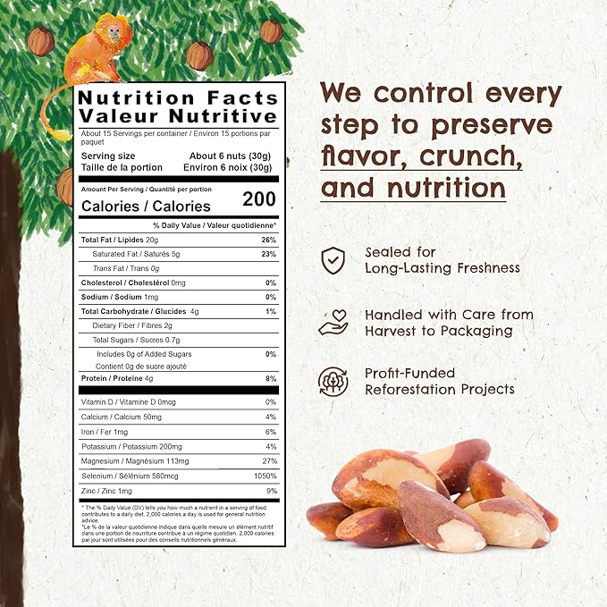 2 Snacks The True Organic Brazil Nuts Medium Size 48 oz 3lbs – Raw and Unsalted – Rich in Vegetable Protein – Fresh, Vegan and Gluten Free – Forest Up