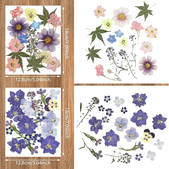 Nuanchu Pressed Flowers Bulk Dried Flower for Crafts, Dried Wildflowers Leave Natural with Tweezer for Resin Mold Scrapbooking Nail Soap Making DIY(Fashion Style,Trend Color)