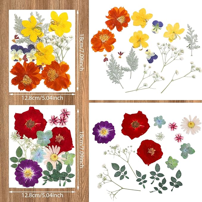 Nuanchu Pressed Flowers Bulk Dried Flower for Crafts, Dried Wildflowers Leave Natural with Tweezer for Resin Mold Scrapbooking Nail Soap Making DIY(Exquisite Style,Bright Color)