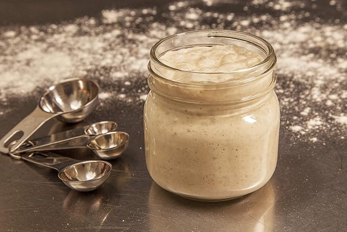 Freshly Fermented - Certifed Organic Freeze Dried Sourdough Starter - British White