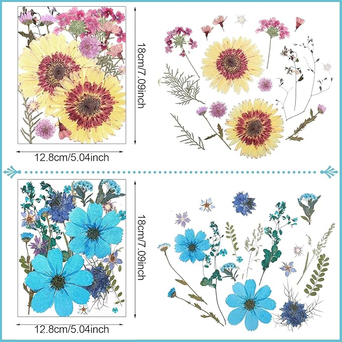 Nuanchu Pressed Flowers Bulk Dried Flower for Crafts, Dried Wildflowers Leave Natural with Tweezer for Resin Mold Scrapbooking Nail Soap Making DIY(Sweet Style,Harmony Color)