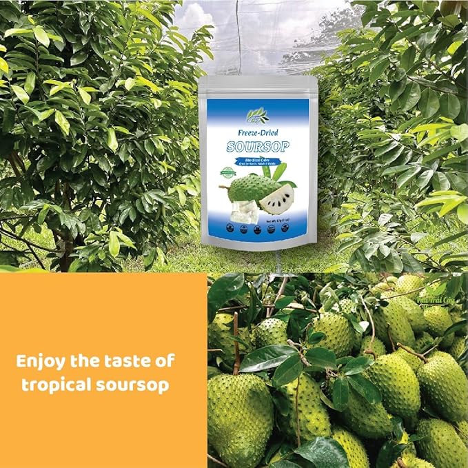 CHAVI Freeze-Dried Soursop - 2 Oz - Healthy 1 Ingredient Superfood - No Added Sugars or Preservatives - Non-GMO, Vegan, Gluten-Free