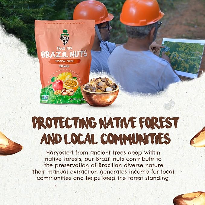 Snack Tropical Trail Mix 7 oz – The True Organic Brazil Nuts Roasted + Dried Apple + White Raisins + Dried Pineapple + Passion Fruit Nibs – Kosher – Fresh, Vegan and Gluten Free – Forest Up