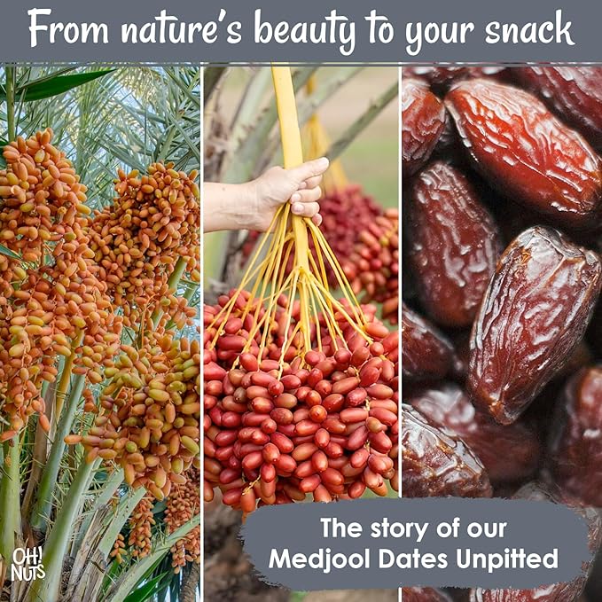Oh! Nuts Jumbo Medjool Dates - Dried Dates - 2 lb - Unpitted Medjool Dates - No Sugar Added - Dehydrated Fruit Snack