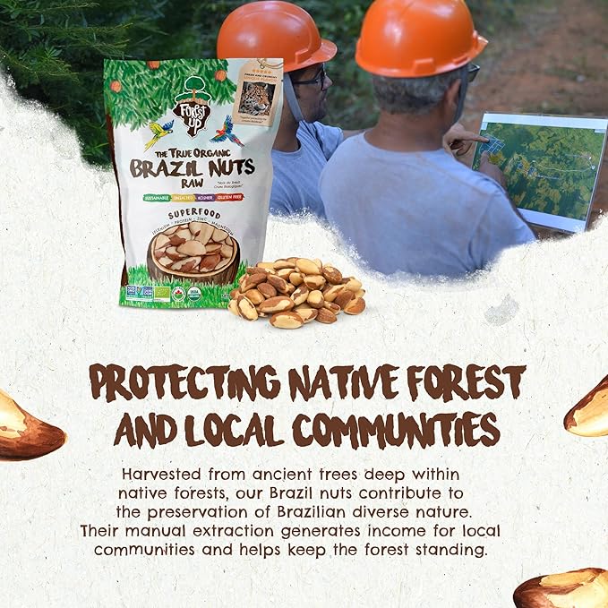 2 Snacks The True Organic Brazil Nuts Medium Size 48 oz 3lbs – Raw and Unsalted – Rich in Vegetable Protein – Fresh, Vegan and Gluten Free – Forest Up