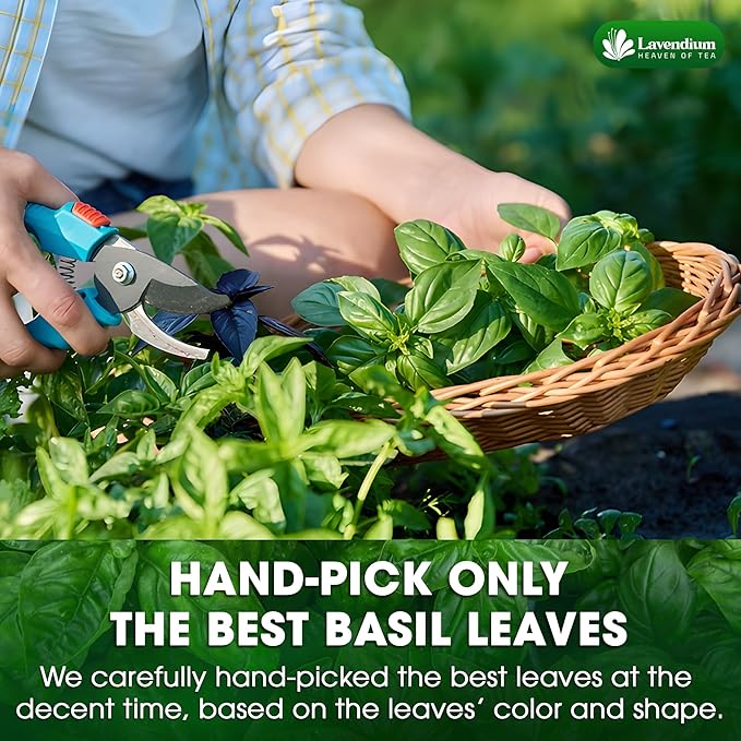 Lavendium, Premium 8oz Dried Basil ??100% Pure, Non-GMO, Gluten-Free, Vegan ??Aromatic Culinary Herb for Cooking, Garnish, and Seasoning ??No Additives or Preservatives ??Resealable Bag