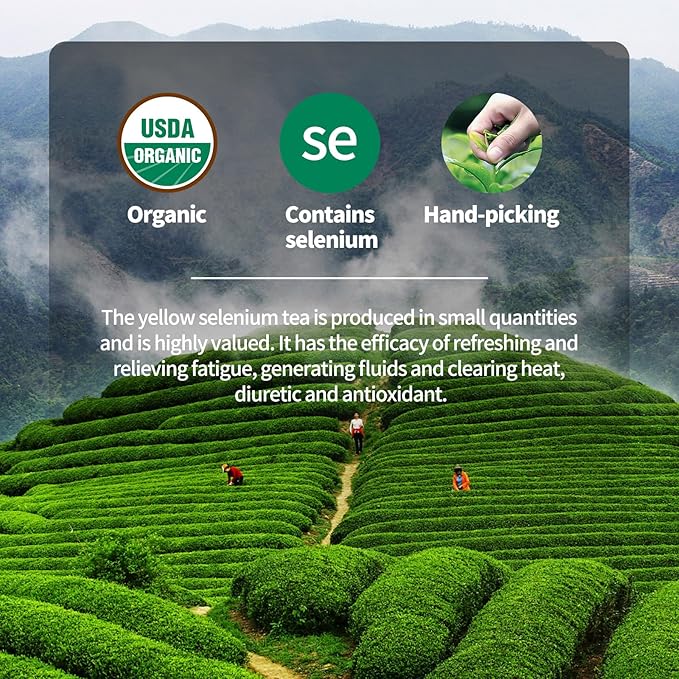 KHS Organic Selenium Tea, 2.47 OZ USDA Certified Chinese Yunnan Yellow Selenium-rich tea, Health & Refreshment, No Dust Production Workshop, Natural Organic Planting Tea Perfect for Hot Brew
