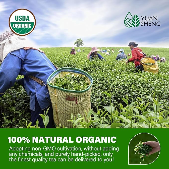 YUANSHENG China Premium Green Tea, Pure Green Tea Leaves, 100% Natural Organic Green Leaf Loose With Clean Aroma, Non-GMO, Gluten Free, Suitable for Tea Gifts, 2.1 Oz