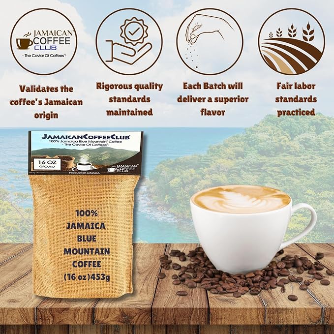 JamaicanCoffeeClub Blue Mountain Ground Coffee ??RG 16oz 100% Jamaican Blue Mountain Coffee, Fresh Medium Roast, Smooth & Balanced Taste, Premium Quality Coffee from Jamaica