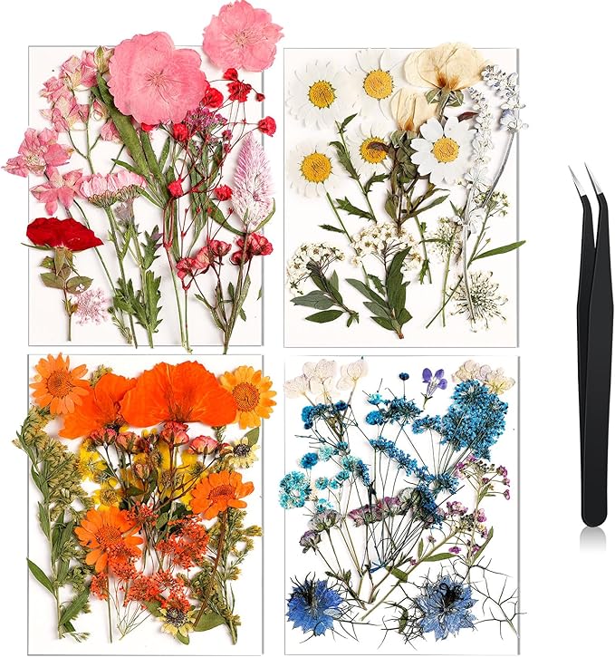 Nuanchu Pressed Flowers Bulk Dried Flower for Crafts, Dried Wildflowers Leave Natural with Tweezer for Resin Mold Scrapbooking Nail Soap Making DIY(Trendy Style,Blend Color)