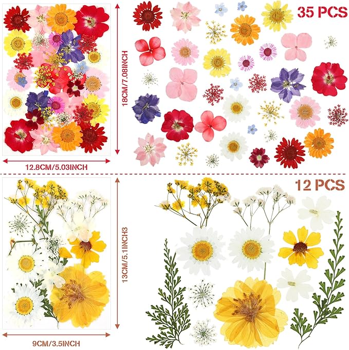 Nuanchu Pressed Flowers Bulk Dried Flower for Crafts, Dried Wildflowers Leave Natural with Tweezer for Resin Mold Scrapbooking Nail Soap Making DIY(Classic Style,Bright Colors)