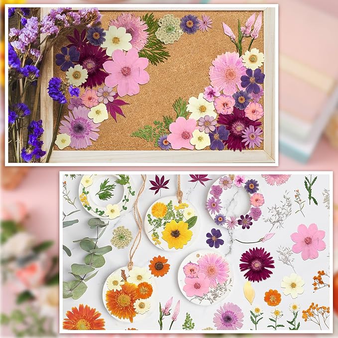 Nuanchu Pressed Flowers Bulk Dried Flower for Crafts, Dried Wildflowers Leave Natural with Tweezer for Resin Mold Scrapbooking Nail Soap Making DIY(Rustic Style,Mixed Color)