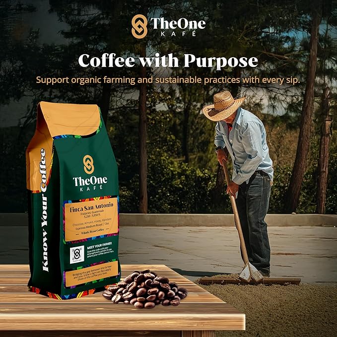 TheOne Kafé Guatemala Medium Roast Whole Bean Coffee ??Organic, Single Origin, Premium Specialty Coffee, Ethically Sourced, Smooth & Rich Flavor ??Fresh Roasted for Espresso, Drip, Pour Over ??12 oz