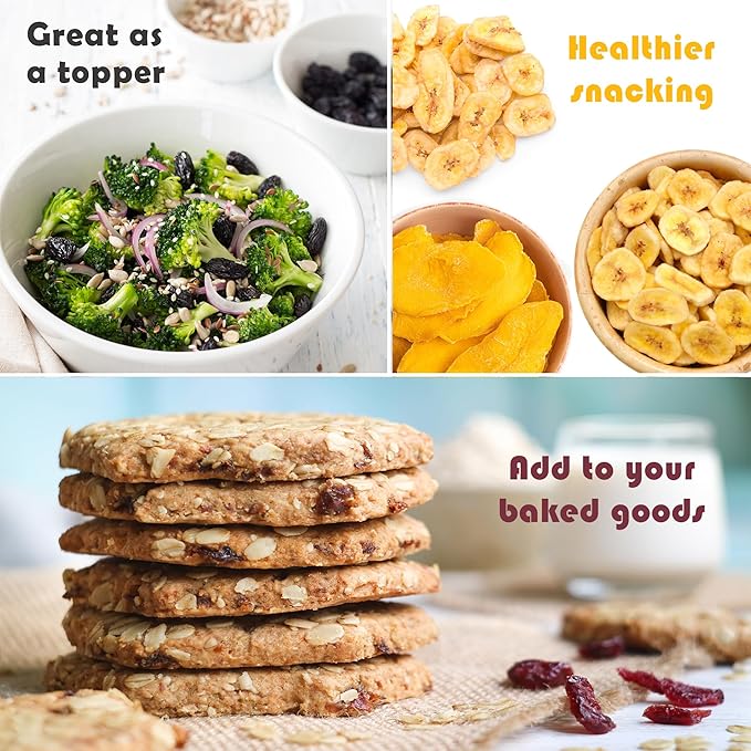 Gourmet Grove Dried Fruit Snack Variety Pack – 8 Pack, 6 oz Bags Each – Includes Cranberries, Raisins, Mango Slices & Banana Chips – Premium Dried Fruit Assortment for Healthy Snacking, Baking & Lunch Boxes