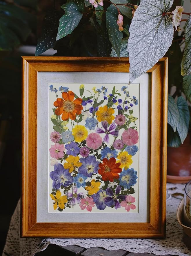 17 Types Retro Dried Pressed Flowers Leaf Plant Herbarium for DIY Resin Jewelry Making Floral Decors(Muti Color)