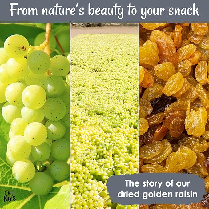 Oh! Nuts Golden Raisins - Sun Dried Fruit - 2 lb - No Sugar Added - Dehydrated Fruit Bites - Packed in New York Zip-Seal Bag for Exceptional Freshness