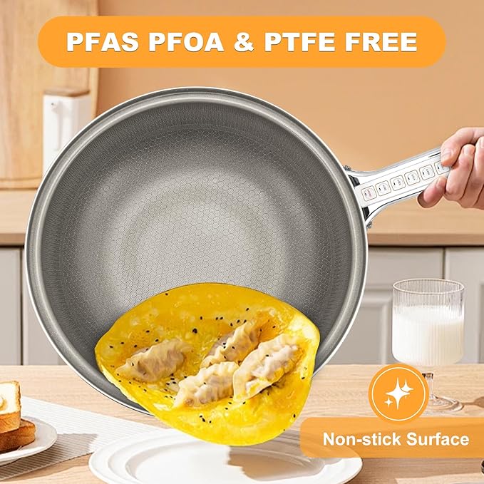 AEWHALE Hot Pot Electric,5L Multifunctional Electric Pot for Cooking,1600W Non-Stick Frying Pans for Steak, Egg, Ramen, Soup with Temperature Adjustment竊?Titanium Stainless