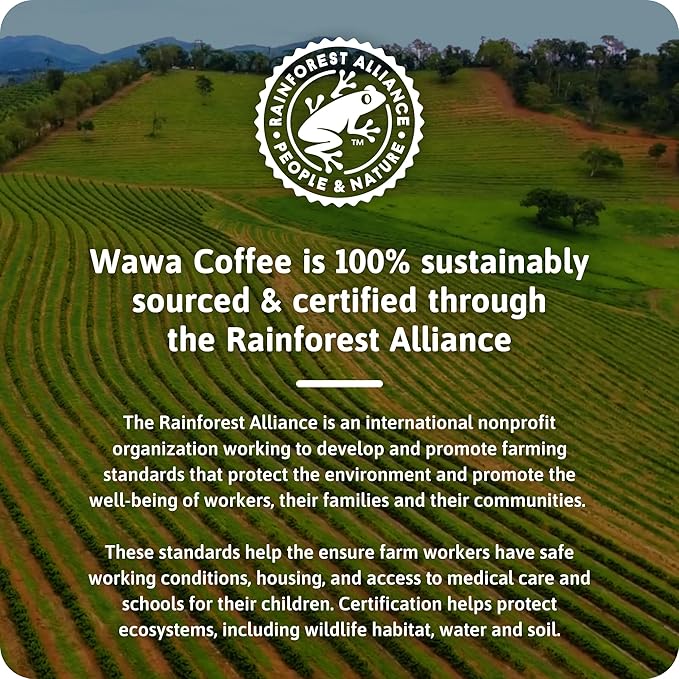 Wawa Mild Roast Single Cup Decaf Coffee Pods, 72 Pods, 6 Boxes, Regular Smooth & Balanced Classic Decaf Blend, Single Serve, 100% More Responsibly Sourced from Rainforest Alliance Certified Farms