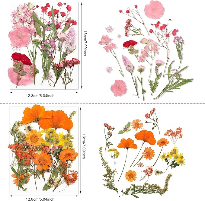 Nuanchu Pressed Flowers Bulk Dried Flower for Crafts, Dried Wildflowers Leave Natural with Tweezer for Resin Mold Scrapbooking Nail Soap Making DIY(Trendy Style,Blend Color)