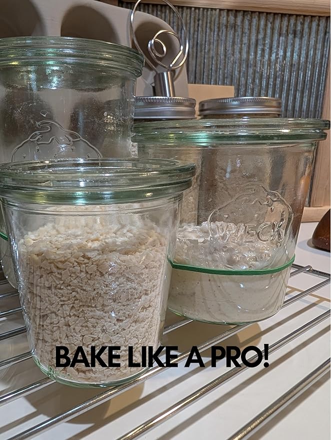 Dehydrated Sourdough Starter Culture | New England Sourdough Starter Co. | 6 Easy Steps to Your Own Established Starter In As Soon As 3 days! | Wicked Strong & Healthy Starter