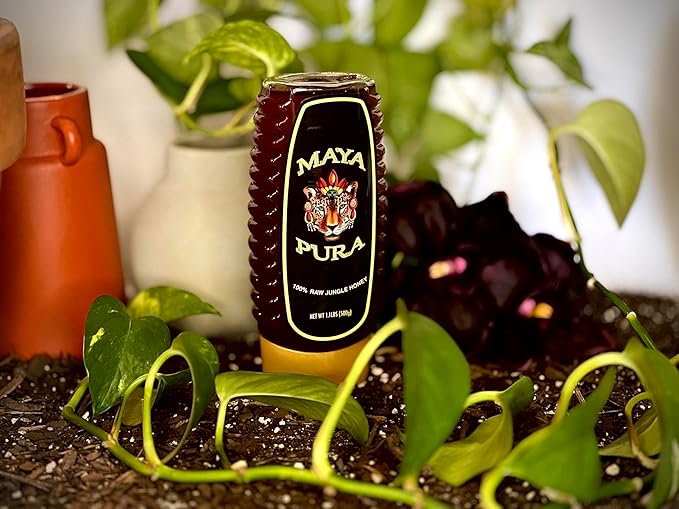 Maya Pura Raw Jungle Honey 1.1 lb Squeeze Bottle | Unfiltered, No Additives, Rainforest & Indigenous-Made