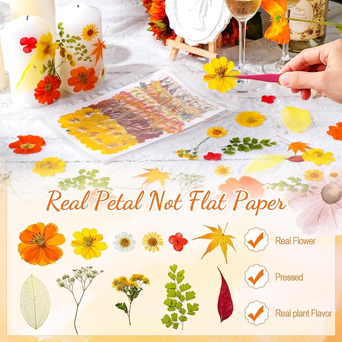96 Pcs Fall Natural Dried Pressed Flowers for Cake Topper Decorating Cupcake Toppers Cocktails Resin Jewelry Making DIY Art Crafts