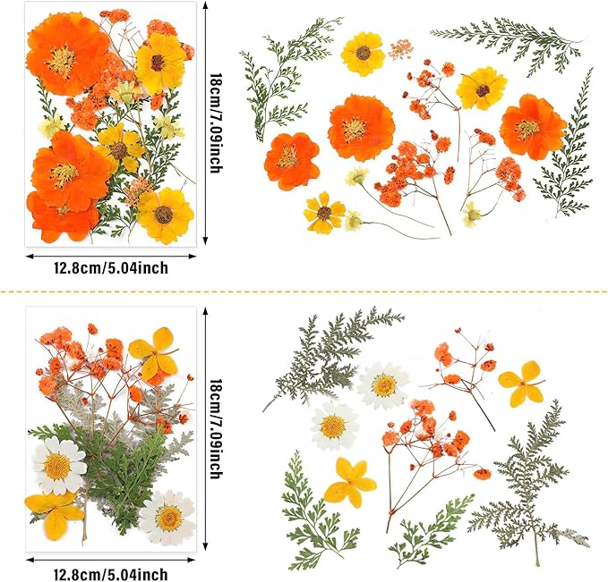 Nuanchu Pressed Flowers Bulk Dried Flower for Crafts, Dried Wildflowers Leave Natural with Tweezer for Resin Mold Scrapbooking Nail Soap Making DIY (Intense??Style,Orange Color)