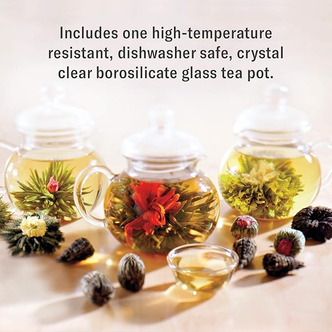 Numi Organic Tea Flowering Tea Gift Set, 6 Tea Blossoms with 16 Ounce Glass Teapot in Elegant Bamboo Case (Packaging May Vary)